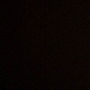 Meet your Posher, Brody